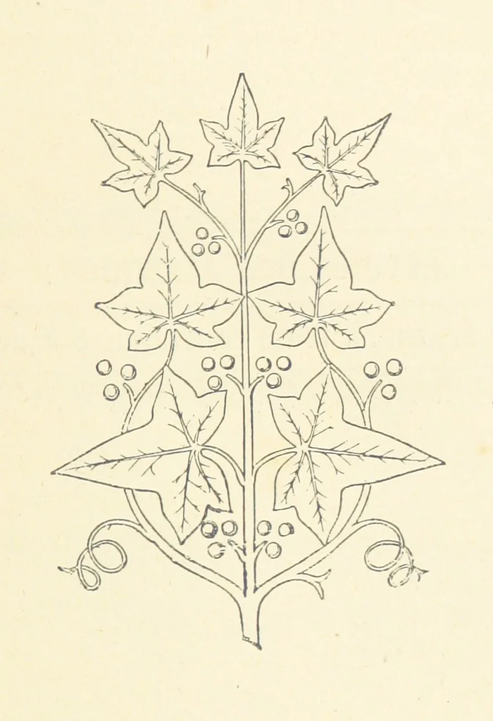 An illustration from Notice sur le château, les anciens seigneurs et la paroisse de Mauvezin, près Marmande ... Accompagnée de nombreux dessins, etc. [With an introduction by J. P. Tamizey de Larroque, 1887, leaf 77