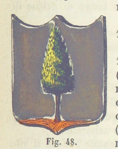 An illustration from Dizionario corografico dell' Italia ... Opera illustrata, etc, 1868, leaf 243
