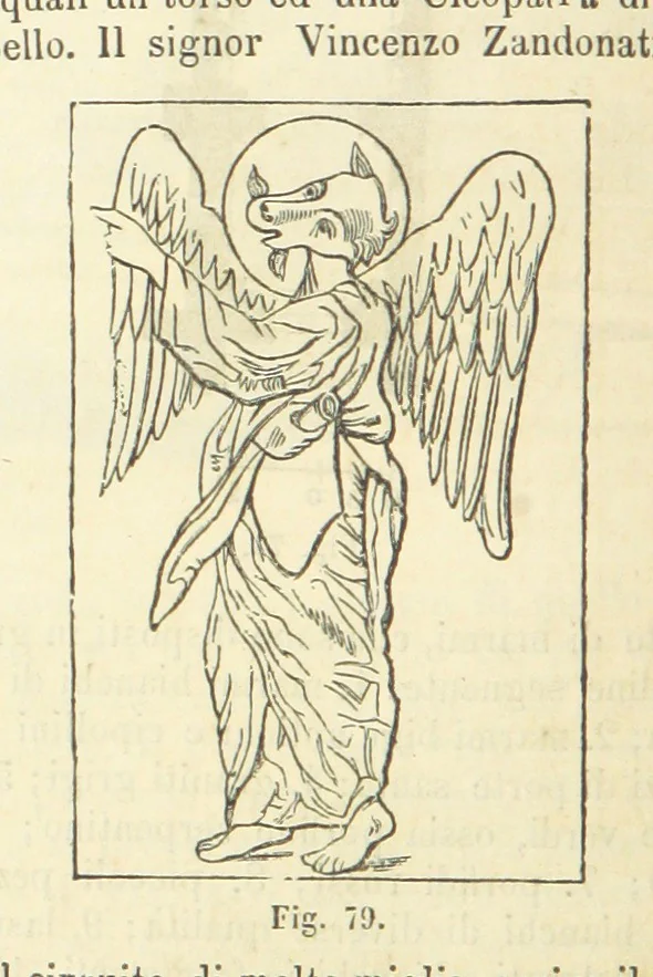 An illustration from Dizionario corografico dell' Italia ... Opera illustrata, etc, 1868, leaf 374