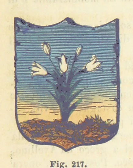 An illustration from Dizionario corografico dell' Italia ... Opera illustrata, etc, 1868, leaf 301