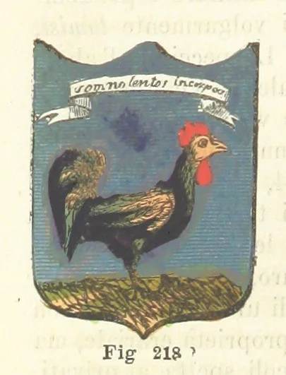 An illustration from Dizionario corografico dell' Italia ... Opera illustrata, etc, 1868, leaf 334