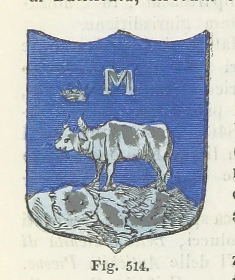 An illustration from Dizionario corografico dell' Italia ... Opera illustrata, etc, 1868, leaf 1000