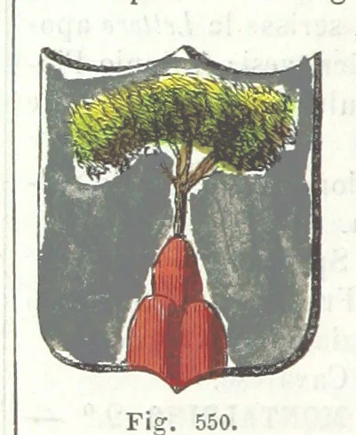 An illustration from Dizionario corografico dell' Italia ... Opera illustrata, etc, 1868, leaf 298