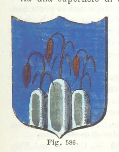 An illustration from Dizionario corografico dell' Italia ... Opera illustrata, etc, 1868, leaf 437