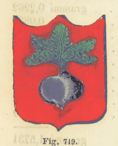 An illustration from Dizionario corografico dell' Italia ... Opera illustrata, etc, 1868, leaf 755