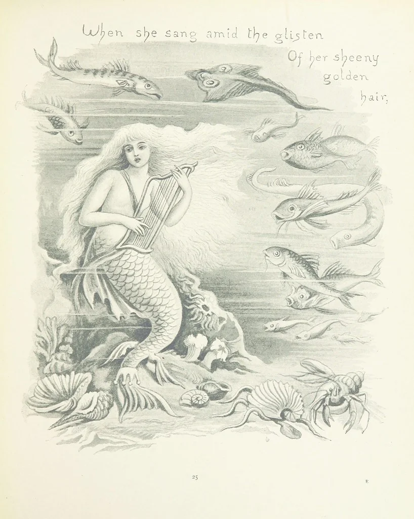 An illustration from The Story of the Mermaiden. Adapted from the German of Hans Andersen, by E. Ashe ... Illustrated by Laura Troubridge. [In verse, 1888, leaf 29