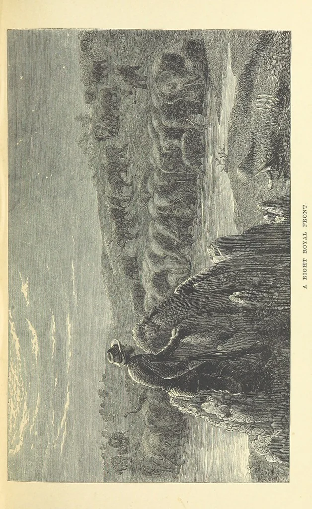 An illustration from The Okavango River: a narrative of travel, exploration, and adventure ... With numerous illustrations, 1861, leaf 133