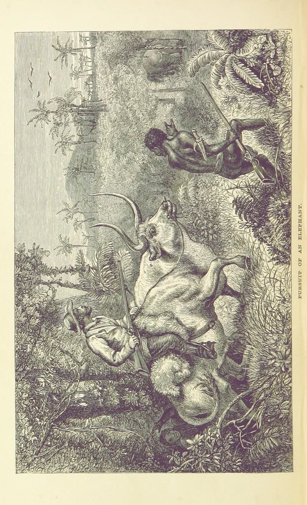 An illustration from The Okavango River: a narrative of travel, exploration, and adventure ... With numerous illustrations, 1861, leaf 224