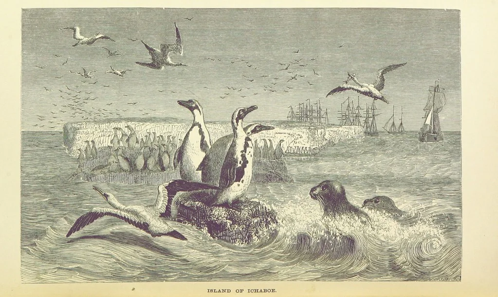 An illustration from The Okavango River: a narrative of travel, exploration, and adventure ... With numerous illustrations, 1861, leaf 406
