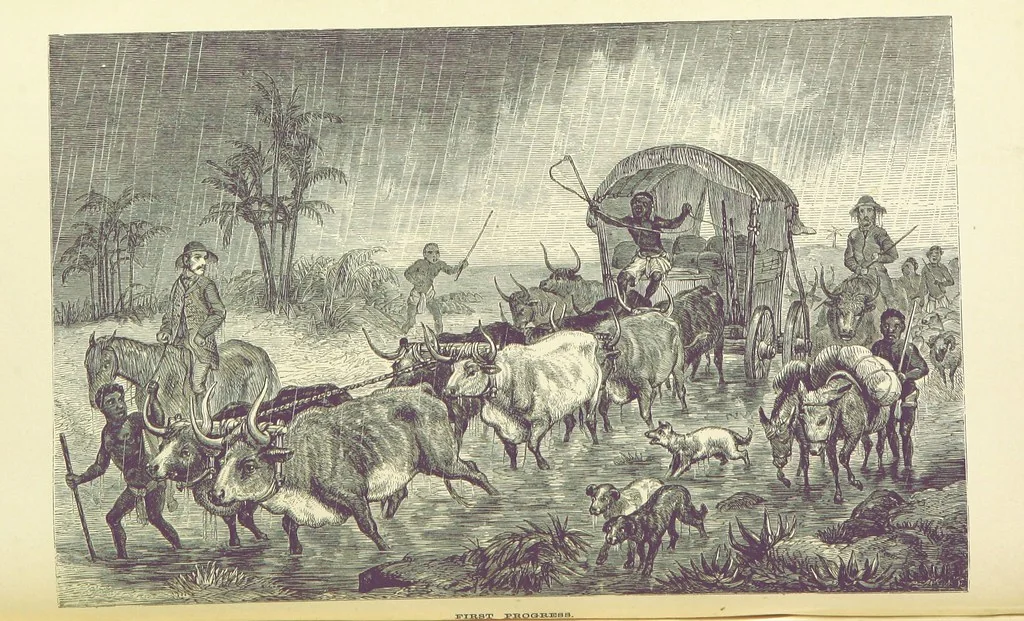 An illustration from The Okavango River: a narrative of travel, exploration, and adventure ... With numerous illustrations, 1861, leaf 50