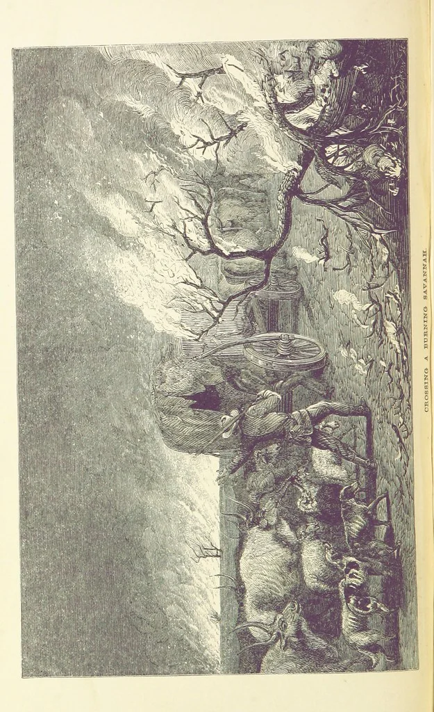 An illustration from The Okavango River: a narrative of travel, exploration, and adventure ... With numerous illustrations, 1861, leaf 90