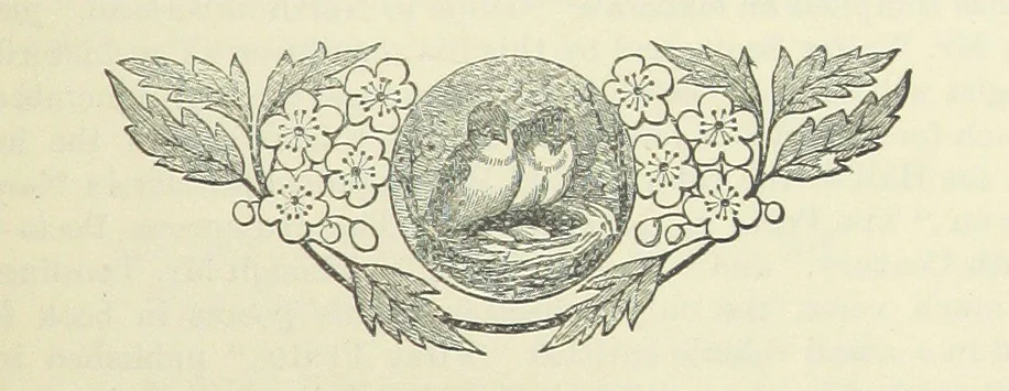 An illustration from North Country Poets. Poems and biographies of natives or residents of Northumberland, Cumberland, Westmoreland, Durham, Lancashire and Yorkshire. Edited by W. Andrews, 1888, leaf 165