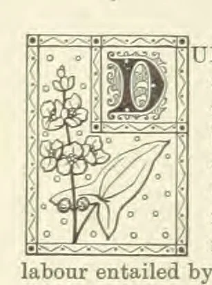 An illustration from North Country Poets. Poems and biographies of natives or residents of Northumberland, Cumberland, Westmoreland, Durham, Lancashire and Yorkshire. Edited by W. Andrews, 1888, leaf 230
