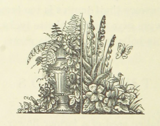 An illustration from North Country Poets. Poems and biographies of natives or residents of Northumberland, Cumberland, Westmoreland, Durham, Lancashire and Yorkshire. Edited by W. Andrews, 1888, leaf 250