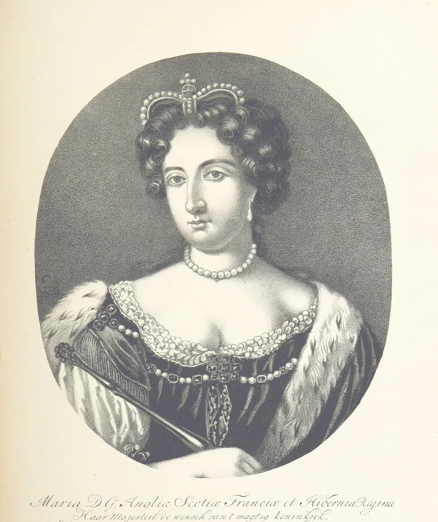 An illustration from Algemeene geschiedenis der Vaderlands, van de vroegste tijden tot op heden. (dl. 3. stuk 2. Voortgezet door Mr. O. van Rees. dl. 3. stuk 3-5. Voortgezet door Mr. O. van Rees en Dr. W. G. Brill. dl. 4, 5. Voortgezet door Dr. J. van Vloten.) dl. 1-dl. 5. stuk 1, 1840, leaf 497