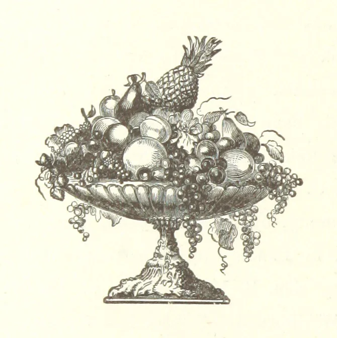 An illustration from History of Arkansas Valley, Colorado. [By W. B. Vickers and others.] Illustrated, 1881, leaf 10