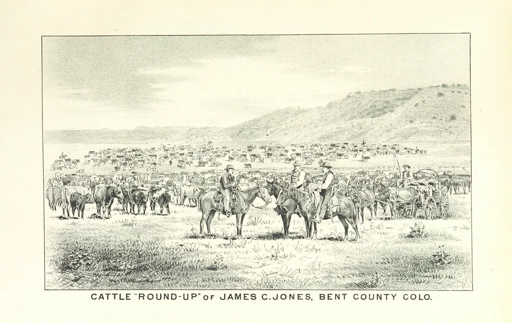 An illustration from History of Arkansas Valley, Colorado. [By W. B. Vickers and others.] Illustrated, 1881, leaf 1035