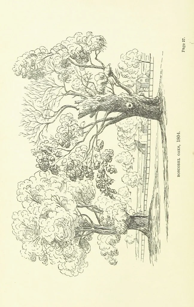 An illustration from Hyde Park from Domesday-Book to date, etc, 1896, leaf 44