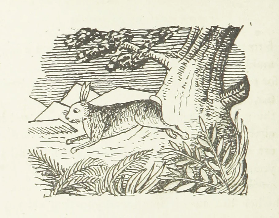 An illustration from Modern Street Ballads. With ... illustrations, 1888, leaf 224