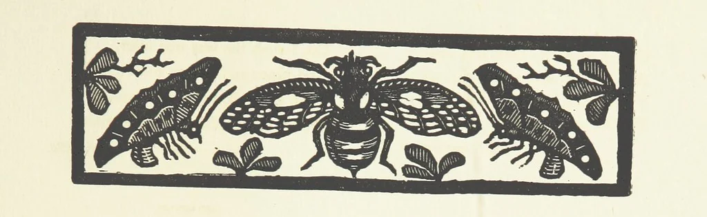 An illustration from Real Sailor-Songs. Collected and edited by J. Ashton. Two hundred illustrations. [Reproductions of broadsheets, 1891, leaf 111