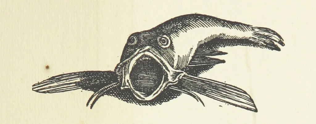 An illustration from Real Sailor-Songs. Collected and edited by J. Ashton. Two hundred illustrations. [Reproductions of broadsheets, 1891, leaf 179