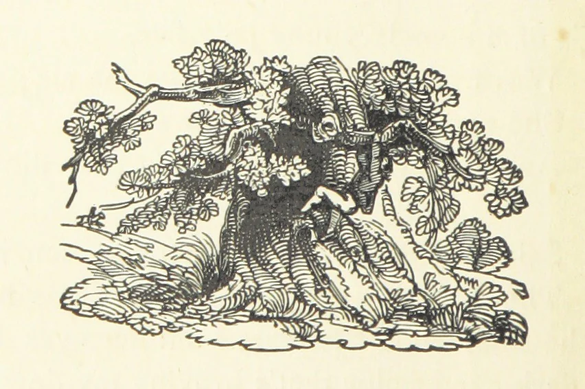 An illustration from Real Sailor-Songs. Collected and edited by J. Ashton. Two hundred illustrations. [Reproductions of broadsheets, 1891, leaf 218