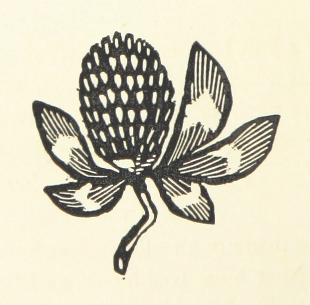 An illustration from Real Sailor-Songs. Collected and edited by J. Ashton. Two hundred illustrations. [Reproductions of broadsheets, 1891, leaf 246