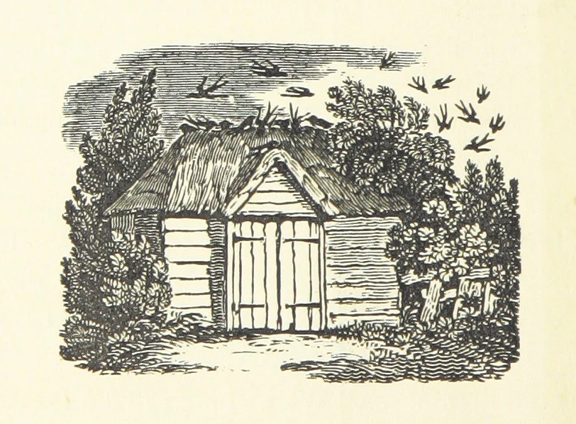 An illustration from Real Sailor-Songs. Collected and edited by J. Ashton. Two hundred illustrations. [Reproductions of broadsheets, 1891, leaf 250