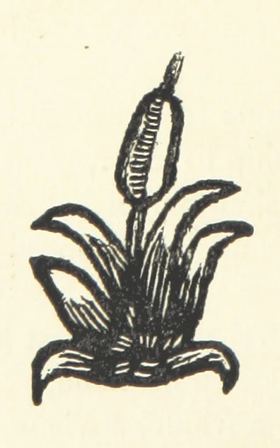 An illustration from Real Sailor-Songs. Collected and edited by J. Ashton. Two hundred illustrations. [Reproductions of broadsheets, 1891, leaf 256