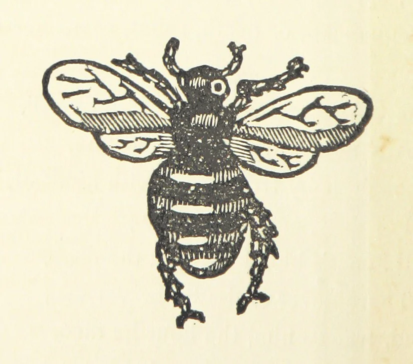 An illustration from Real Sailor-Songs. Collected and edited by J. Ashton. Two hundred illustrations. [Reproductions of broadsheets, 1891, leaf 264