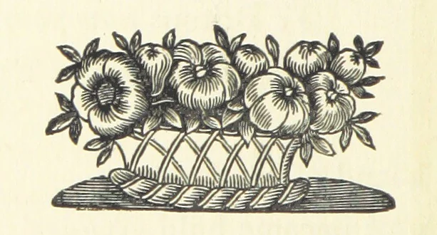 An illustration from Real Sailor-Songs. Collected and edited by J. Ashton. Two hundred illustrations. [Reproductions of broadsheets, 1891, leaf 278