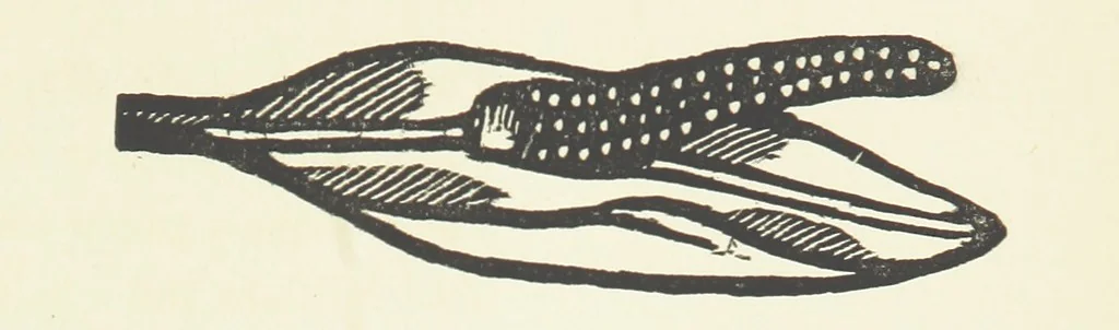 An illustration from Real Sailor-Songs. Collected and edited by J. Ashton. Two hundred illustrations. [Reproductions of broadsheets, 1891, leaf 279