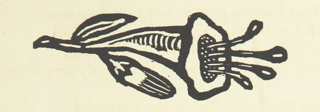 An illustration from Real Sailor-Songs. Collected and edited by J. Ashton. Two hundred illustrations. [Reproductions of broadsheets, 1891, leaf 293