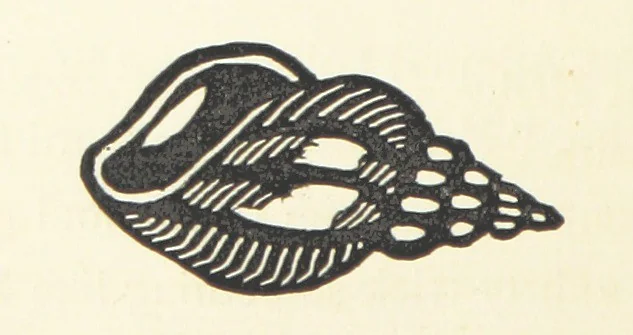 An illustration from Real Sailor-Songs. Collected and edited by J. Ashton. Two hundred illustrations. [Reproductions of broadsheets, 1891, leaf 72