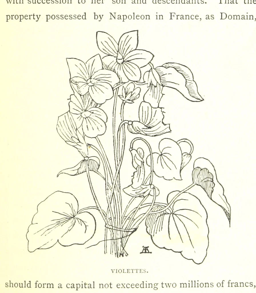 An illustration from Social England under the Regency ... With ... illustrations, 1890, leaf 265