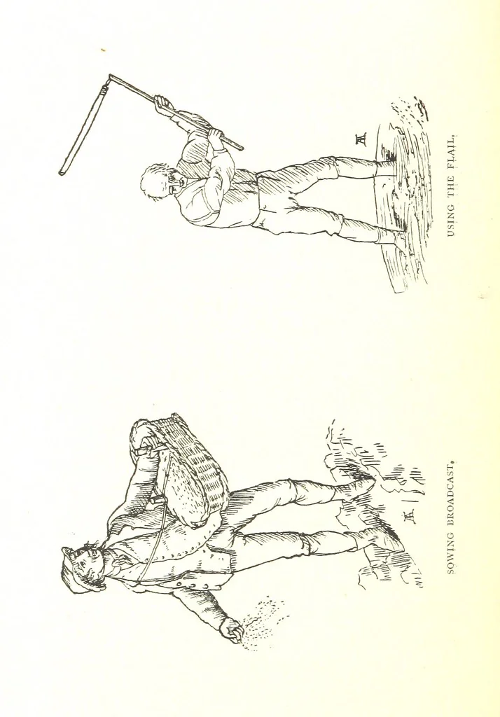 An illustration from Social England under the Regency ... With ... illustrations, 1890, leaf 268