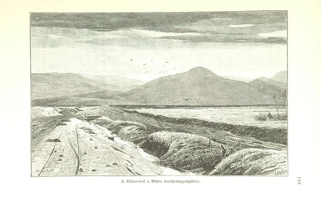 An illustration from Az Osztrák-Magyar Monarchia irásban és képben. Rudolf trónörökös főherczeg Ő ... fensége kezdeményezéséből és közremunkálásával. (Die deutsche Ausgabe redigirt ... J. von Weilen, die ungarische M. Jókai.) Hung, 1885, leaf 137