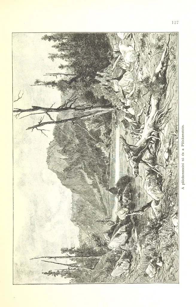 An illustration from Az Osztrák-Magyar Monarchia irásban és képben. Rudolf trónörökös főherczeg Ő ... fensége kezdeményezéséből és közremunkálásával. (Die deutsche Ausgabe redigirt ... J. von Weilen, die ungarische M. Jókai.) Hung, 1885, leaf 145