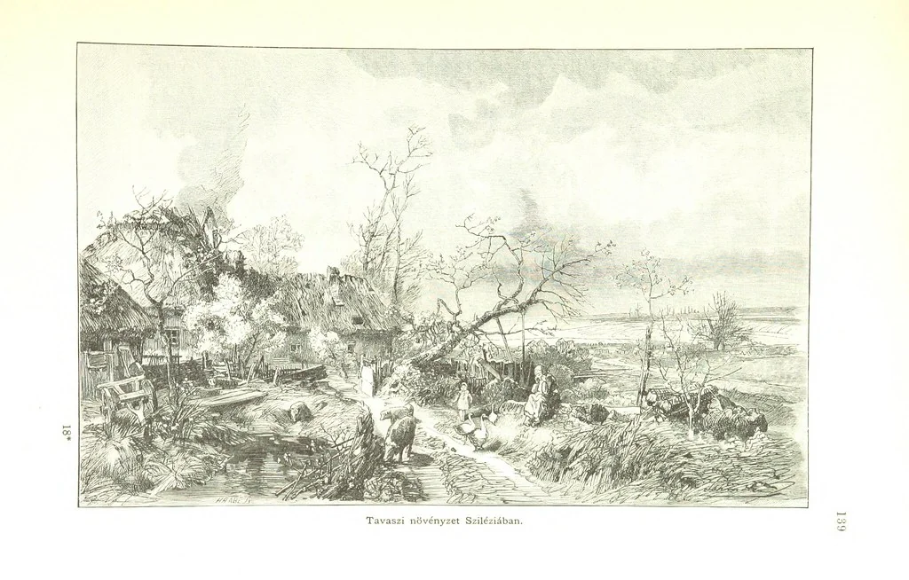 An illustration from Az Osztrák-Magyar Monarchia irásban és képben. Rudolf trónörökös főherczeg Ő ... fensége kezdeményezéséből és közremunkálásával. (Die deutsche Ausgabe redigirt ... J. von Weilen, die ungarische M. Jókai.) Hung, 1885, leaf 157