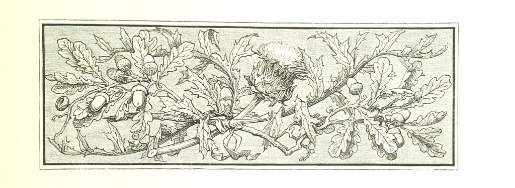An illustration from Az Osztrák-Magyar Monarchia irásban és képben. Rudolf trónörökös főherczeg Ő ... fensége kezdeményezéséből és közremunkálásával. (Die deutsche Ausgabe redigirt ... J. von Weilen, die ungarische M. Jókai.) Hung, 1885, leaf 207