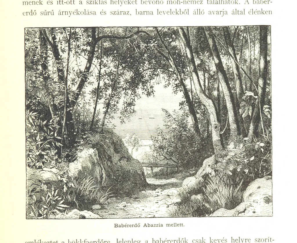 An illustration from Az Osztrák-Magyar Monarchia irásban és képben. Rudolf trónörökös főherczeg Ő ... fensége kezdeményezéséből és közremunkálásával. (Die deutsche Ausgabe redigirt ... J. von Weilen, die ungarische M. Jókai.) Hung, 1885, leaf 213