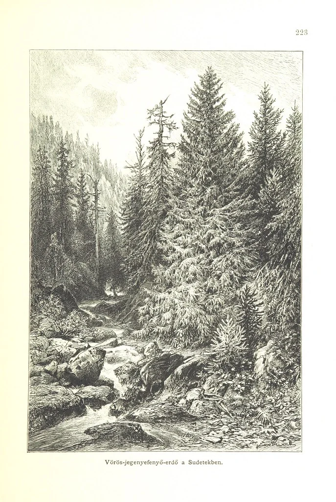 An illustration from Az Osztrák-Magyar Monarchia irásban és képben. Rudolf trónörökös főherczeg Ő ... fensége kezdeményezéséből és közremunkálásával. (Die deutsche Ausgabe redigirt ... J. von Weilen, die ungarische M. Jókai.) Hung, 1885, leaf 241
