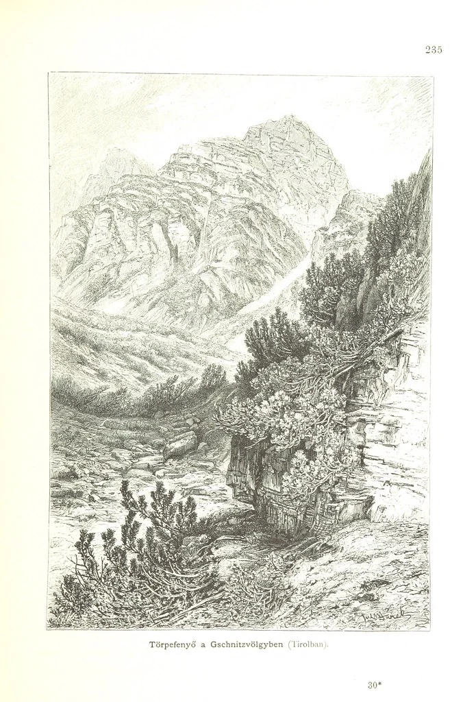 An illustration from Az Osztrák-Magyar Monarchia irásban és képben. Rudolf trónörökös főherczeg Ő ... fensége kezdeményezéséből és közremunkálásával. (Die deutsche Ausgabe redigirt ... J. von Weilen, die ungarische M. Jókai.) Hung, 1885, leaf 253