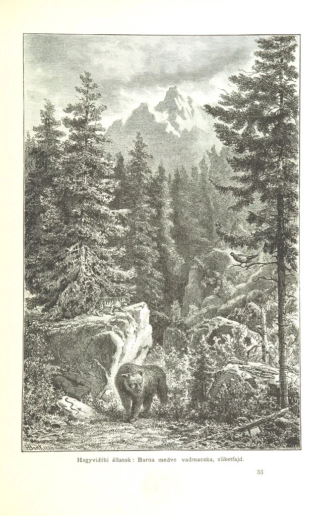 An illustration from Az Osztrák-Magyar Monarchia irásban és képben. Rudolf trónörökös főherczeg Ő ... fensége kezdeményezéséből és közremunkálásával. (Die deutsche Ausgabe redigirt ... J. von Weilen, die ungarische M. Jókai.) Hung, 1885, leaf 275