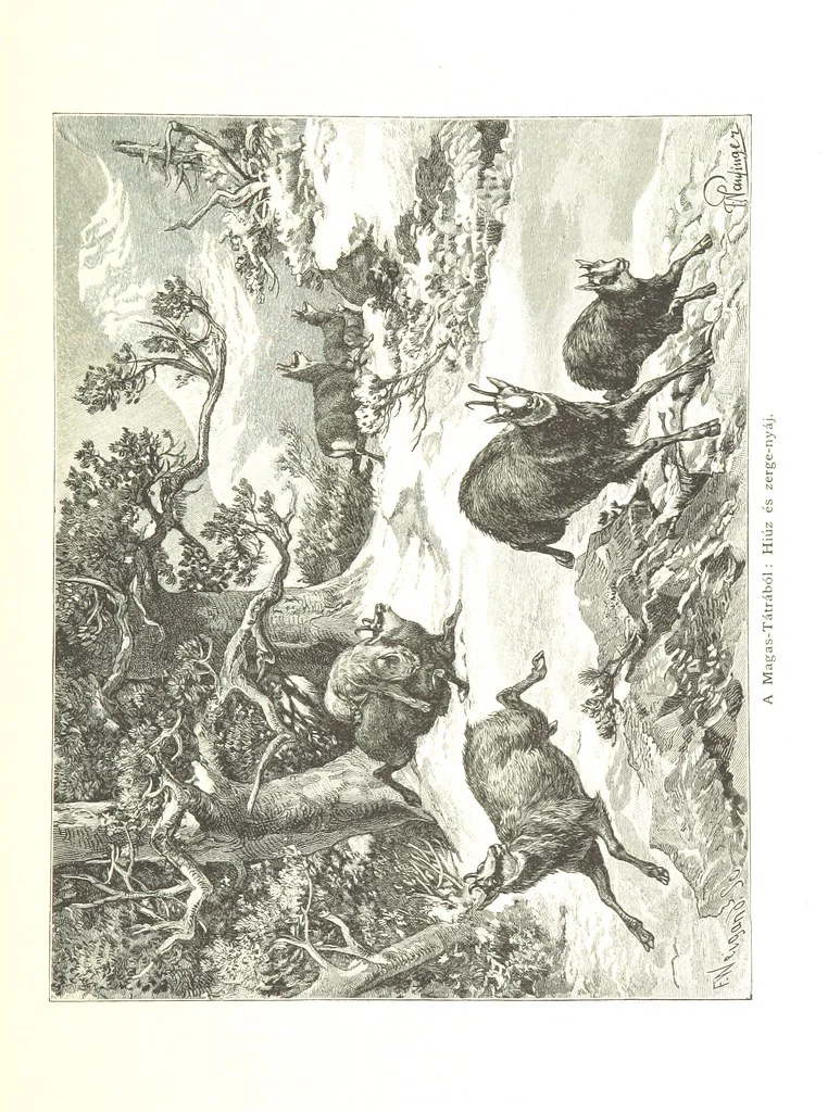 An illustration from Az Osztrák-Magyar Monarchia irásban és képben. Rudolf trónörökös főherczeg Ő ... fensége kezdeményezéséből és közremunkálásával. (Die deutsche Ausgabe redigirt ... J. von Weilen, die ungarische M. Jókai.) Hung, 1885, leaf 287