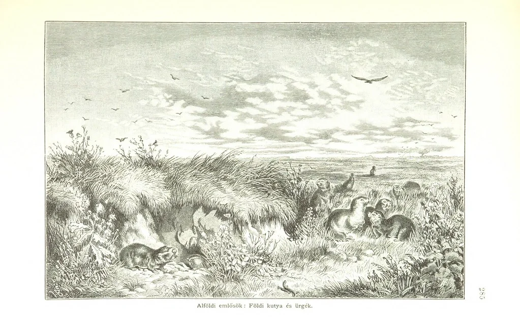 An illustration from Az Osztrák-Magyar Monarchia irásban és képben. Rudolf trónörökös főherczeg Ő ... fensége kezdeményezéséből és közremunkálásával. (Die deutsche Ausgabe redigirt ... J. von Weilen, die ungarische M. Jókai.) Hung, 1885, leaf 303