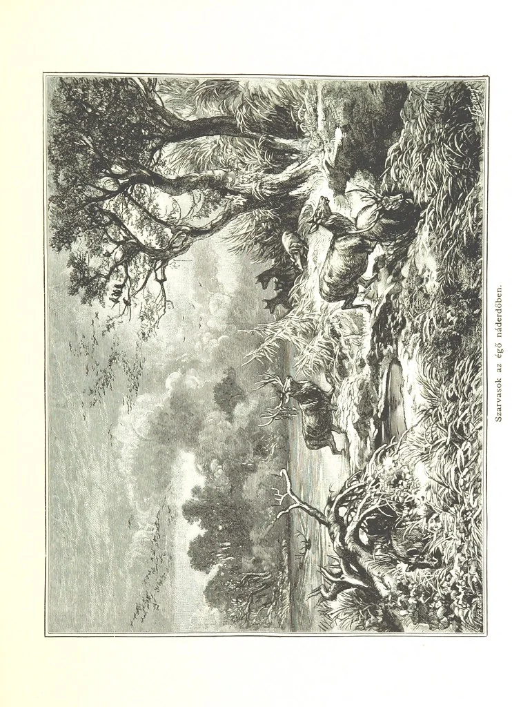 An illustration from Az Osztrák-Magyar Monarchia irásban és képben. Rudolf trónörökös főherczeg Ő ... fensége kezdeményezéséből és közremunkálásával. (Die deutsche Ausgabe redigirt ... J. von Weilen, die ungarische M. Jókai.) Hung, 1885, leaf 311