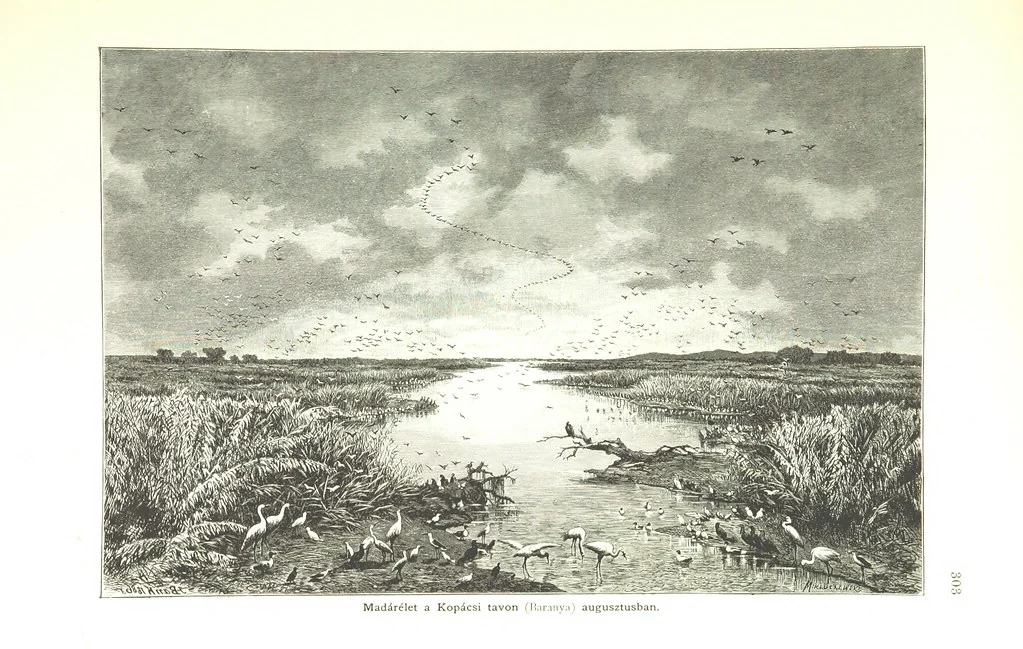 An illustration from Az Osztrák-Magyar Monarchia irásban és képben. Rudolf trónörökös főherczeg Ő ... fensége kezdeményezéséből és közremunkálásával. (Die deutsche Ausgabe redigirt ... J. von Weilen, die ungarische M. Jókai.) Hung, 1885, leaf 321