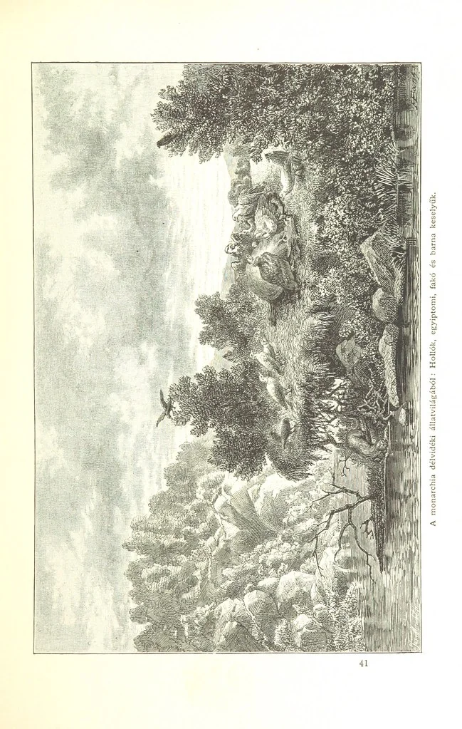 An illustration from Az Osztrák-Magyar Monarchia irásban és képben. Rudolf trónörökös főherczeg Ő ... fensége kezdeményezéséből és közremunkálásával. (Die deutsche Ausgabe redigirt ... J. von Weilen, die ungarische M. Jókai.) Hung, 1885, leaf 339