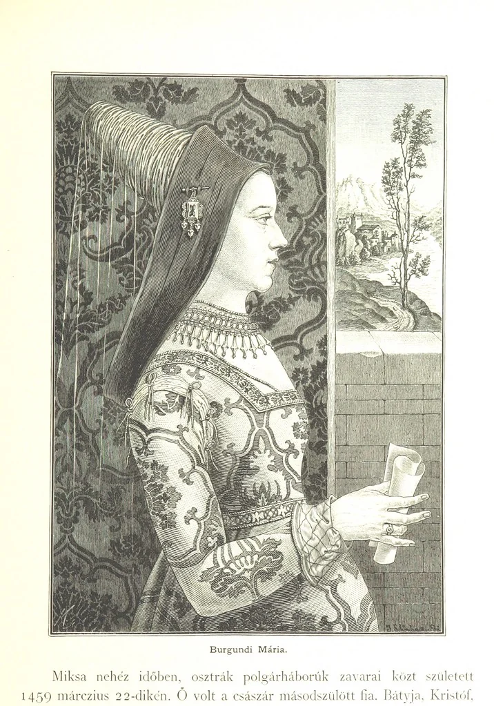 An illustration from Az Osztrák-Magyar Monarchia irásban és képben. Rudolf trónörökös főherczeg Ő ... fensége kezdeményezéséből és közremunkálásával. (Die deutsche Ausgabe redigirt ... J. von Weilen, die ungarische M. Jókai.) Hung, 1885, leaf 417